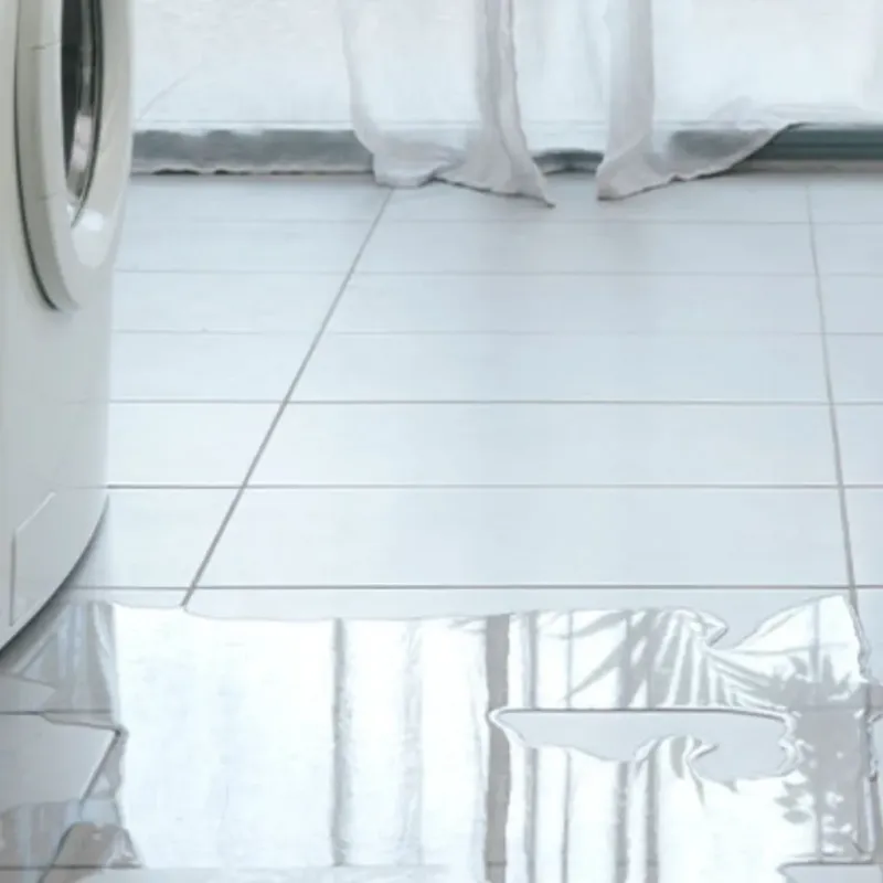 Appliance Leak Cleanup in Greenwood, MS