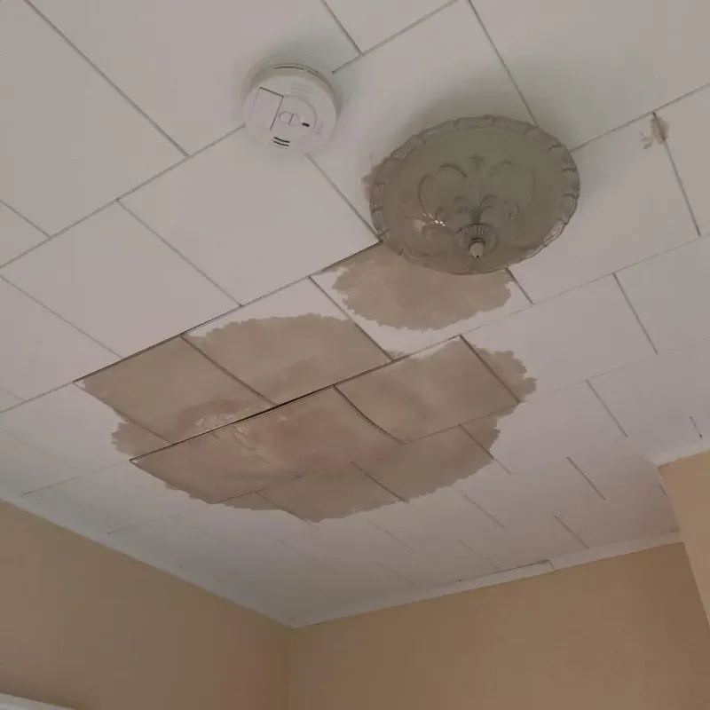 Ceiling Water Damage Repair in Greenwood, MS