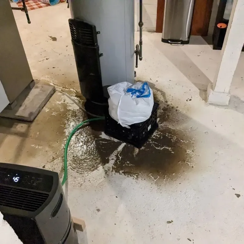Sewage Backup Cleanup Service in Greenwood, MS